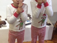 Twin Elves Rozelle Christmas 2014.jpg