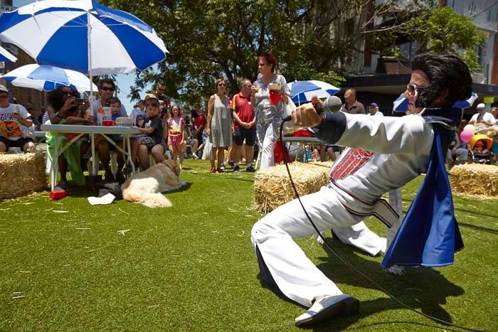 Elvis struts his stuff at the Rozelle Village Fair.jpg